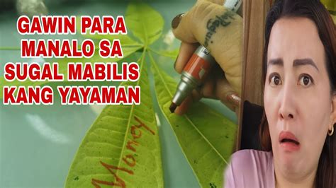 GAWIN PARA MANALO SA SUGAL MABILIS ANG PAGPASOK .